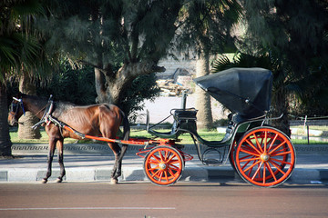 Fototapeta premium Calèche d'Alexandrie