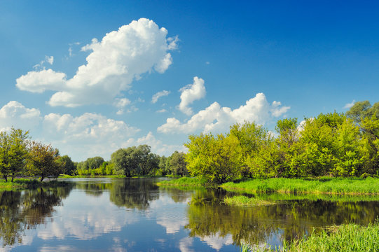 Beautiful landscape wallpaper with flood waters of Narew river. © boguslaw