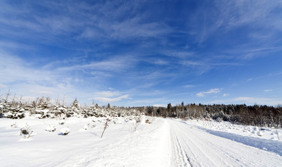 Fototapeta na wymiar road to nowhere (Winter im Allgäu)