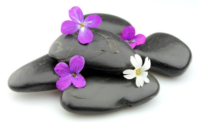 stones with flowers