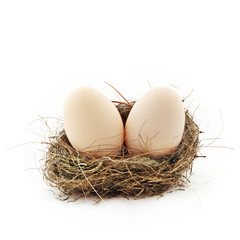 Two eggs inside the nest