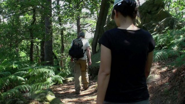 Couple randonnant en for&ecirc;t