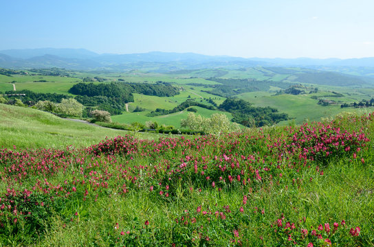 Colline Toscane
