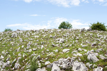 Countryside: a stony hilltop, Vallo di Diano,  Sassano, Italy