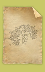 Grapes illustration paper