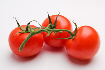 tomato isolated