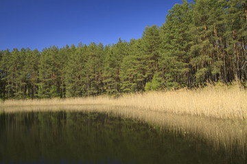 Kashubian lake landscape