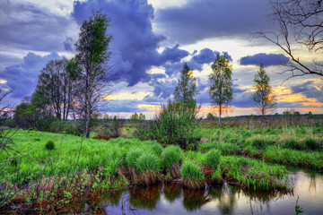 Sunset in summer field