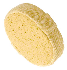 Sponge