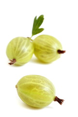 Stachelbeere, gooseberry