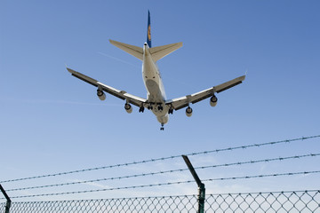 landendes Flugzeug (nur redaktionell)
