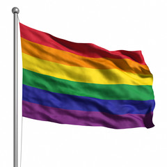 Gay Pride / Rainbow Flag