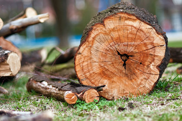 Biomass
