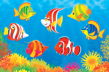 Obraz na płótnie Canvas kolorowe tropikalnych ryb pływanie powyżej rafy koralowej