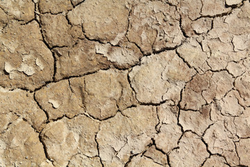 Global warming - cracked soil