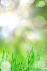 Fototapeta premium abstract beautiful fresh grass and light reflect in morning