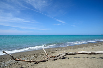 Fototapeta na wymiar Pristine Beach (Toskania)