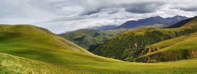 Summer Landscape