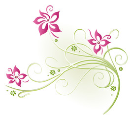 Ranke, flora, Blumen, Blüten, filigran, pink, grün