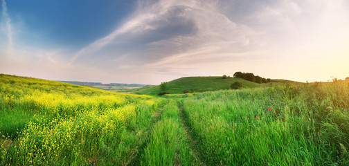 Sundown in mountain meadow