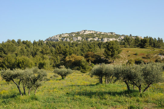paysage aux Baux-de-Provence dans les Alpilles