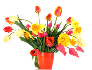 Pink tulips on white background