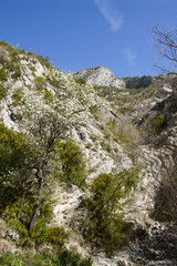 Site of glue bass,  verdon, France