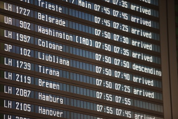 Fototapeta premium Fliegen