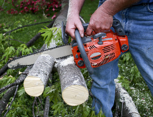 chainsaw cutting branches