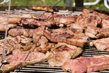 Fleisch auf dem Schwenkgrill