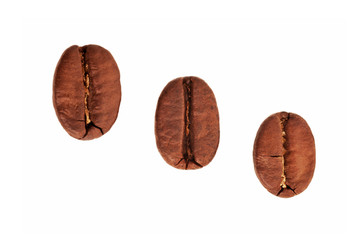 Coffee beans close up in isolated white background