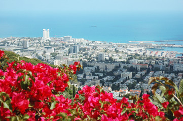 Panorama of modern city Haifa ,Israel