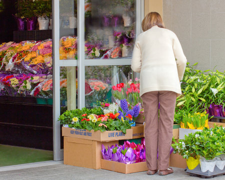 Woman Shopping for Flowers and Plants