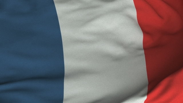 Seamless Waving French Flag with Fabric Texture