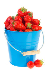 Blue bucket strawberries
