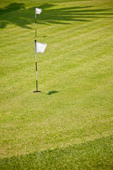 Obraz premium Golf Putting Green and Flag