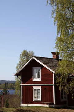 Typical Swedish red cottage with birch tree