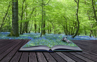 Magical book with contents spilling into landscape background