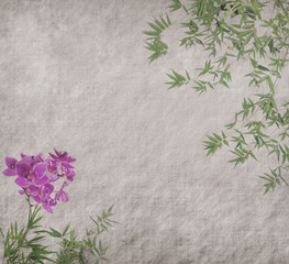 orchids with bamboo leaves on  antique paper