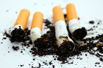 cigarette butt