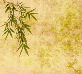 bamboo on old grunge antique paper texture .