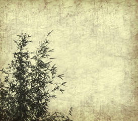 bamboo on old grunge antique paper texture .