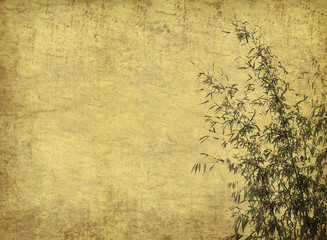 bamboo on old grunge antique paper texture .