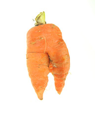 carrot isolated on a white .