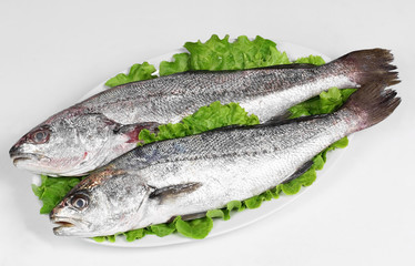 Ombrine - pesce crudo