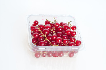 Beautiful raspberries