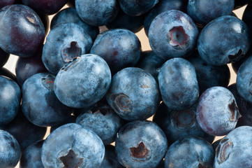 Beautiful berries