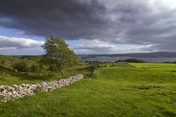 Irlanda, Connaught, Pascoli