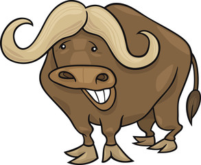 african buffalo
