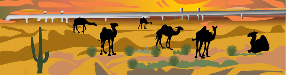 pipeline in desert with camels
